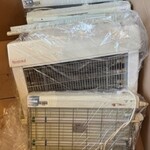 4x Insectenlampen Rentokil, wit, bouwjaar 2021